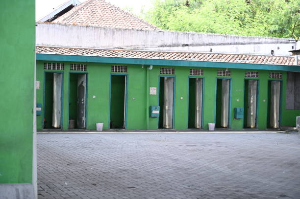 Best Affordable portable toilet rental  in El Cenizo, TX